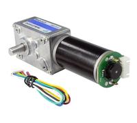 5840-31zy DC 12V 24V High Torque Worm Gear Motor with Encoder(40RPM_12V)