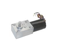 5840-3650 couple élevé de puissance élevée de C.C du moteur adapté par vis sans fin de BLDC 12V silencieux for la machine de rideau(12V 8RPM)