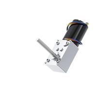 5840-3650-M8 Moteur à réduction de vis sans fin de turbine à axe long fileté 12 V 24 V Moteur sans balais avant et arrière (40 tr/min, moteur unique 24 V)