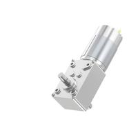 5840-555 Dual Shaft Worm Gear DC Geared electronic starter 12V24V Low RPM Speed Control Metal Gear Self-Locking electronic starter CZAOINCU(161RPM,24V Bracket Motor)