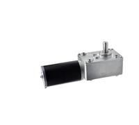 5840 Engine DC 12V 24V Worm Gear electronic starter IINKUEYK(80RPM_24V)