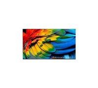 Philips Téléviseur professionnel 58HFL6214U 58'' MediaSuite 4K UHD Android TV Gris anthracite