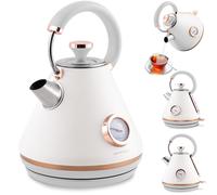 Berdsen Bouilloire électrique BD-701 1,7 L avec thermomètre Blanc