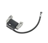 592335 595554 793449 796499 799645 Bobine d'allumage Fit for Moteur 650 700 750 100600 111P02 111P05 112P02 112P05 des pièces de Rechange