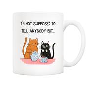 5Aup Mug pour amoureux des chats « Secret Keeper » - Tasse à café amusante en céramique avec motif « I Can't Tell Anyone » - Idéal pour les meilleurs amis, les femmes, les dames de chat et les