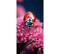 5D 20x40cm Grand Diamant Peinture, Coccinelle animaux DIY Diamond Painting Arts Débutante, DIY Diamant Painting Cristal Strass Arts Artisanat Peinture Peinture pour Maison Murale Décoration Salon-O8