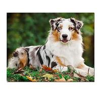 5d Broderie Diamant,DIY Peinture Diamant Plein Forage Kit, chien berger australien Kit d'art peinture diamant à faire soi même,Bricolage Diamond Painting Adultes Enfants Décor Murale 90x130cm