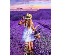5D Broderie Diamant Kit Complet Jardin De Fille De Lavande 40x60cm Kit Diamant Peinture 5D Bricolage,Full Drill Cristal Strass Point de Croix Toile image pour décoration Salon Chambre Bureau