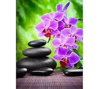 5D Broderie diamant Painting kits Complet Pierre d'orchidée Bricolage Diamond Painting pour Adultes Cristal Strass Point de Croix Arts Salon Chambre Décoration mural 30x40cm/12x16inch Round drill