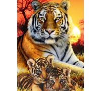 5d Diamant Broderie Tigre Kit-30 * 40cm, Diamant Peinture Kit Maison Décoration Murale Artisanat Image