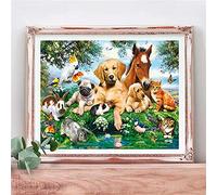 5D Diamant Peinture Animaux Chien Chat,DIY Diamond Painting Kits,Broderie Diamant Kit Complet,Peinture Diamant Point De Croix,Adultes Strass Diamant Arts Craft Home Décoration Murale 40x50cm,16x20in