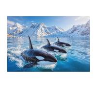 5D Diamant Peinture Point de Croix Broderie，Défilé d'orques dans la mer polaire，Diamond Painting Strass Complet , Croix Peinture Strass Salon Chambre Stickers Home Décoration Murale（30 x 40 cm）-AH21