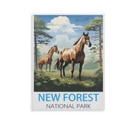 5D Diamant Peinture Point de Croix Broderie，Parc national de la New Forest，Diamond Painting Strass Complet , Croix Peinture Strass Salon Chambre Stickers Home Décoration Murale（30 x 40 cm）-HY34