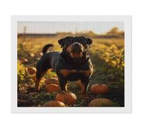 5D Diamond Art Painting Kit, DIY Diamond Painting Pictures, Diamond Rhinestone Crystal Cross Stitch Painting Painting by Numbers for Children Adults Home Wall Decoration Dog Rottweiler 30 * 40cm