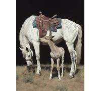 5D Diamond Painting Adulte Cheval Diamond Painting, âNe DIY Peinture Diamant Adulte Point de Croix Kit, Broderie Diamant pour Décoration Maison, Cadeau Femme 30x40cm fjh-9216