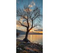 5D Diamond Painting Atardecer Diamond Painting Adultos áRbol Punto de Cruz Kit Completo DIY Manualidades Adultos Cuadro Diamantes Cristal Punto de Cruz Niños, para Decoracion Otoño 25x50cm F - 933