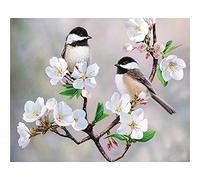 5D Diamond Painting by Number Kits for Adults Fleur et Oiseaux DIY Plein Forage Diamant Peinture Strass Broderie Point De Croix Arts Artisanat pour La Maison Décoration Murale 40x50cm/16x20inch Round