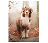 5D Diamond Painting chien de berger australien rond strass diamants adulte peinture par numéro artisanat mosaïque Art Kit décor à la maison cadeaux 12x16 pouces
