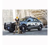5D Diamond Painting Complet, Chien de voiture de police 60x80cm Peinture Diamant Numéro par Adulte Point de Croix DIY Diamond Painting Strass Complet Broderie Diamant Artisanal Accueil/Décor/Noël/Gift