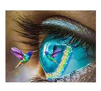 5D Diamond Painting complet kit Oeil-Colibri DIY Broderie Diamant, Peinture Diamant Strass Complet, Kit Diamant Painting pour Adultes toile Artisanat Décor Murale À La Maison 30X40CM