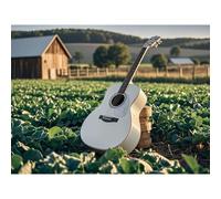 5D Diamond Painting DIY Kit White Guitar Farm Diamond Art Full Round Diamond Crystal by Number Embroidery Crafts Suitable for Living Room Home Wall Decoration40x40cm