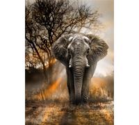 5D Diamond Painting Éléphant d'Afrique,Peinture Diamant Kit pour Adulte Débutant Complet,DIY Broderie Diamant Painting Artisanat Strass Point de Croix Painting Décoration Murale Rond,60x80 cm
