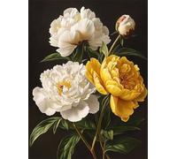 5D Diamond Painting Fleur 80x100 cm Peinture Diamant Adulte Blanc Broderie Diamant Kit Complet Round Drill Diamond Painting DIY Activité Manuelle Tableau Art pour Decoration Maison Cadeau Femme G-678