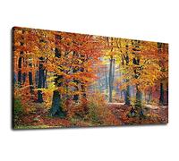 5D Diamond Painting Forêt d'automne Canevas Kit Complet Adulte, DIY Broderie Peinture Diamant Painting Point de Croix Painting Diamant Grand Art Craft pour Chambre Décoration Murale 60x120cm JF-3183