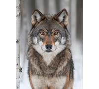 5D Diamond Painting Forêt Peinture Diamant Adulte, DIY Loup Diamant Painting Enfant, Broderie Point de Croix Cristal Painting, Loisirs Créatifs Adultes pour Chambre Decoration Cadeau 15x20 cm O4-882