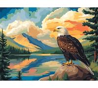 5D Diamond Painting Kit Complet, Diamond Painting Enfant Paysage Plein Foret Peinture Diamant Oiseau pour Débutant, Activité Manuelle Cristal Art Canevas Kit pour Décoration Murale 20x30cm Z#-1056
