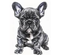 5D Diamond Painting Kit Complet, Kit Peinture Diamant pour Adulte Enfant, Bricolage Broderie Diamant Arts Diamant Painting Strass Point de Croix pour Décor Home Murale Bouledogue français noir 25x30cm