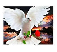 5D Diamond Painting Kit Complet,Oiseau Colombe Blanche Kit de Broderie Diamant,Adultes Enfants DIY Strass Point de Croix Peinture par Numéros Artisanat Pour Maison Murale Décor Round Drill,40x60cm