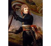 5D Diamond Painting Kits Complets,DIY Peinture Diamant Kits Napoléon Strass Diamant Broderie Point de Croix Kits Adultes Enfants Arts Craft pour la Décoration Murale à la Maison Square Drill 40x60cm