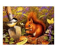 5D Diamond Painting Kits Complets,DIY Peinture Diamant Kits Oiseau écureuil Strass Diamant Broderie Kits Adultes Enfants Arts Craft pour la Décoration Murale à la Maison Square Drill 40x50cm