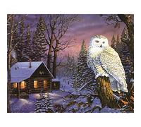 5D Diamond Painting Kits Complets,DIY Peinture Diamant Kits Paysage de chouette domestique Diamant Broderie Kits Adultes Enfants Arts Craft pour la Décoration Murale à la Maison Square Drill 60x90cm