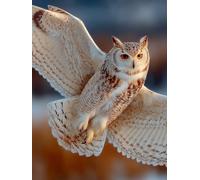 5D Diamond Painting Oiseau, Hibou Diamond Painting Enfant, DIY Broderie Diamant Activité Manuelle, Loisirs Créatifs Adultes Kits, Peinture Diamant Kits, Cadeau Homme, Decoration Chambre 50x70cm Q-4191