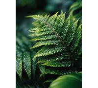 5D Diamond Painting Planter, Diamond Painting Enfant Feuilles, DIY Diamant Point de Croix Kits, Débutant Peinture Diamant Loisirs Créatifs Adultes Kits, Cadeau Femme, Decoration Maison, 30x40cm A-3289