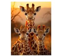 5D Diamond Painting pour Adultes Débutants,DIY Girafe au lever du soleil Art du diamant painting Kit Complet,Strass Point de Croix Broderie Diamant Peinture Kits Maison Décor Round Drill 40x60cm