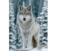 5D Diamond Painting ScèNe De Neige, Loup Diamond Painting Enfant, DIY Broderie Diamant Activité Manuelle, Loisirs Créatifs Adultes Kits, Peinture Diamant Kits, Decoration Chambre, 40x50cm 7-7657