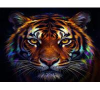 5D Diamond Painting Tigre Peinture Diamant Adulte 40x30cm 7-75032