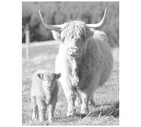 5D Diamond Painting Vache animale,Adultes/Enfants DIY Peinture Diamant Kit Complet, Strass Cristal Broderie Point De Croix canevas Convient aux décoration Murale à la Maison Square Drill 30x40cm