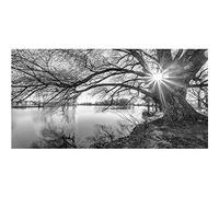 5D DIY Broderie Diamant Kit Grande Taille, Arbre au bord du lac blanc noir Adulte DIY large Peinture Diamant Foret Complet Kits Broderie Point De Croix pour La Décor Murale 40x80cm Square Drill