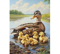 5D DIY Canard du lac Kits de Peinture Diamant, Diamond Painting pour Adulte Débutants, Diamond Art Kits Strass Point de Croix Cristal Painting pour Maison Décor Cadeaux pour Femmes 30x40 cm H-339