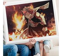 5D DIY Diamant Peinture,Anime Fairy Tail,Broderie Point De Croix Diamant Mosaïque Décor À La Maison(round drill)-40x50cm