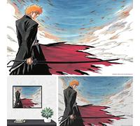 5D DIY Diamant Peinture Kit,Anime Bleach,Diamant Point De Croix, Décoration De La Maison Cadeau(round drill)-30x40cm