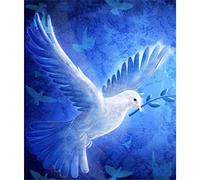 SanZez 5D DIY Diamant Peinture Kits pour Adultes Enfants Débutant Colombe Blanche Paix Colombe Strass Diamant Broderie Peintures 50x60 cm
