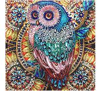 5D DIY Diamant Peinture par Kit de Numéro Diamond Painting Complet 5D Diamant Peinture Kits Broderie Diamant Kit Complet Peinture par Numeros pour Adultes et Enfant, 30x30cm, Motif de Hibou