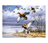 5D DIY Diamond Painting Complet Grande Taille Canards au bord de la rivière 40x50cm Diamant Point De Croix Kit Enfants et Adultes Peinture par Numéros Kits, Strass Broderie Décoration De La Maison