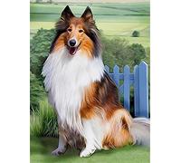 5D DIY Diamond Painting Complète Foret Point De Croix Kit Square Drill Chien Colley 20x30cm Diamant Peinture Kits pour Adultes Strass Broderie Diamant Art Craft pour Décoration Murale Maison 8x12inch