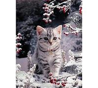 5D DIY Diamond Painting Kits,Chaton des neiges Broderie Diamant Kit Peinture Diamant Kits Complet Cristal Strass Point de Croix Toile Artisanat Salon Chambre Décoration Murale (40x50cm/16x20in)